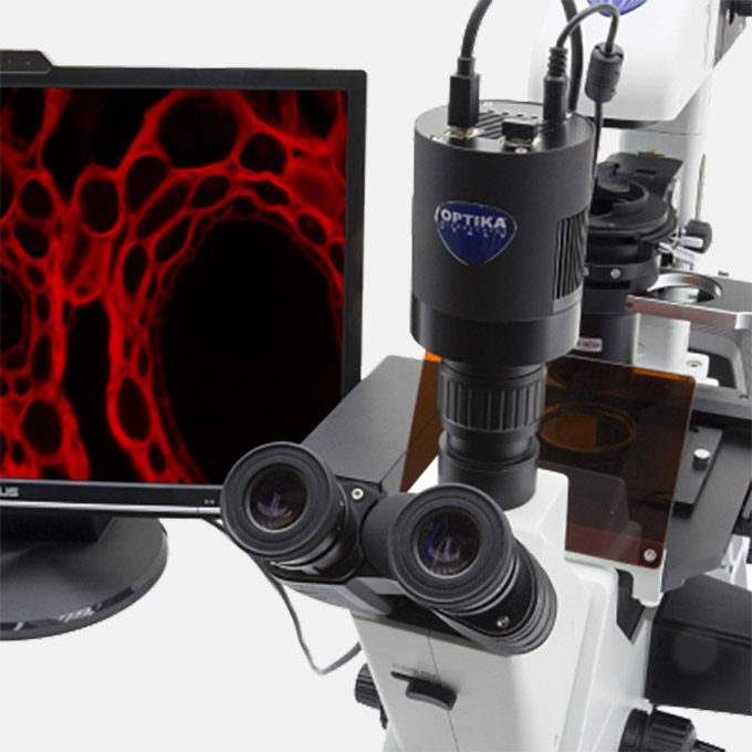 Microscope Cameras & Digital Solutions
