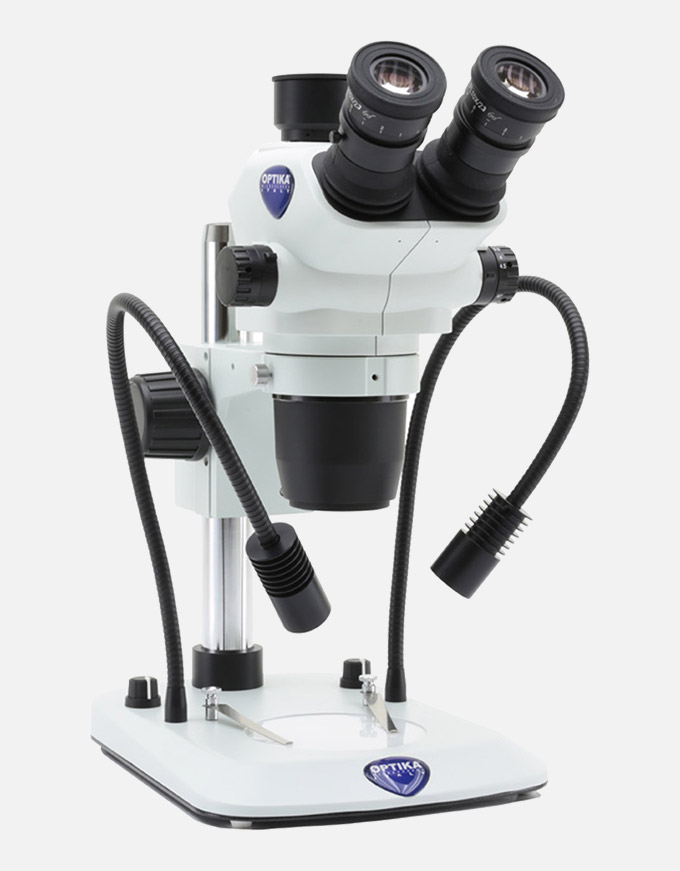 Stereo Microscopes